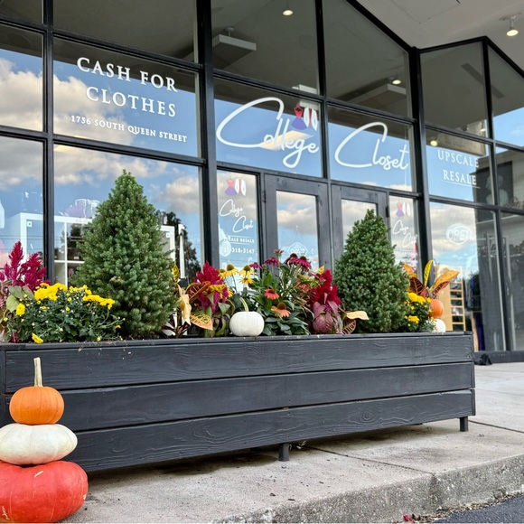 Meet your Posher, Kristine - Picture 4 of 7